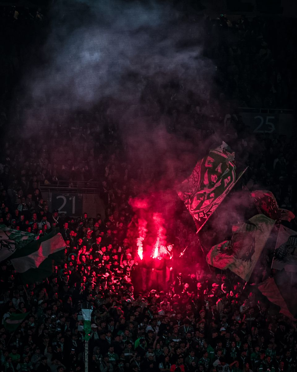 Tifo & fumigènes — Ambiance